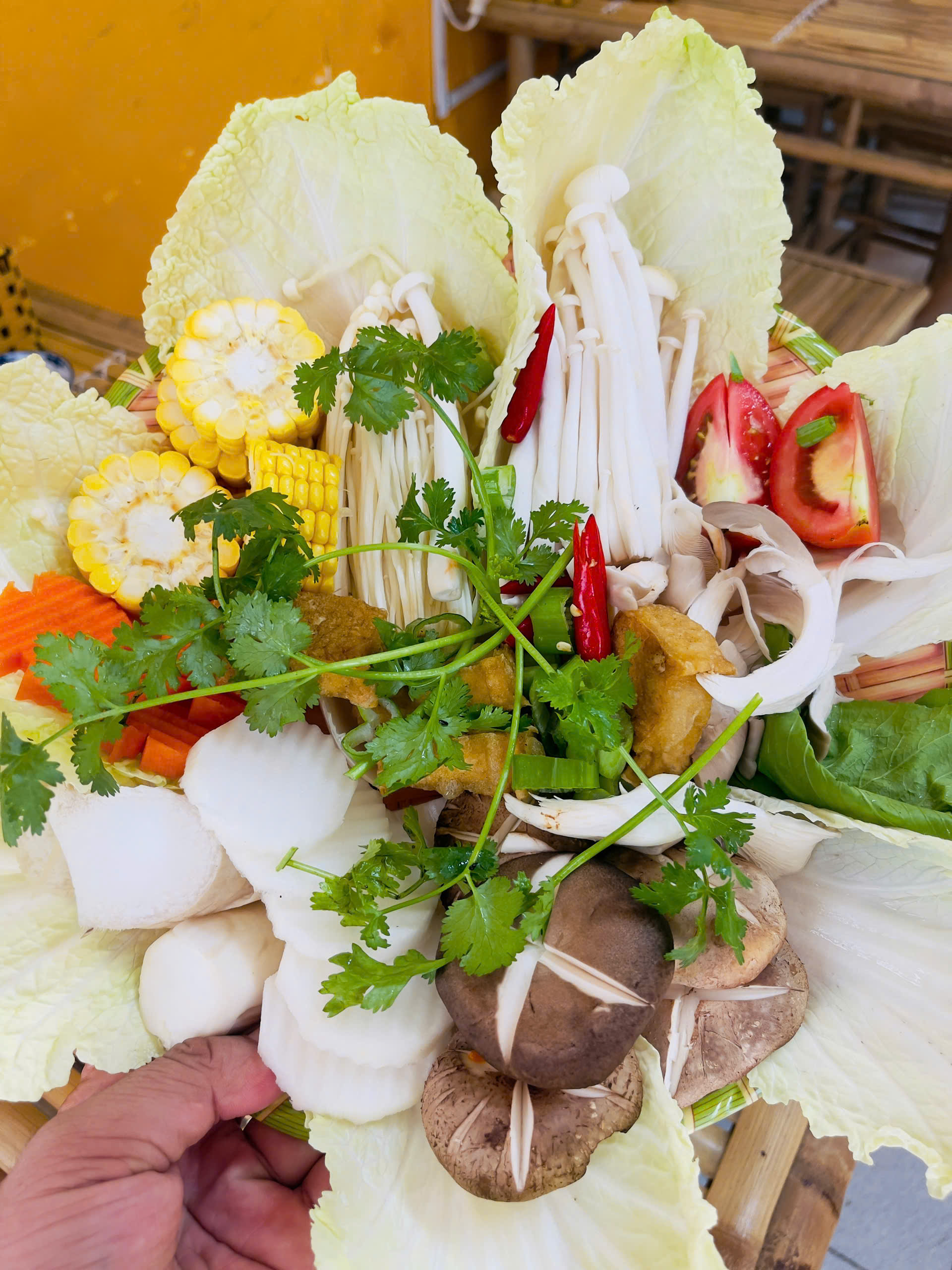 Các loại combo